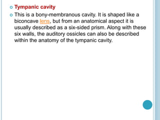  Tympanic cavity
 This is a bony-membranous cavity. It is shaped like a
biconcave lens, but from an anatomical aspect it is
usually described as a six-sided prism. Along with these
six walls, the auditory ossicles can also be described
within the anatomy of the tympanic cavity.
 
