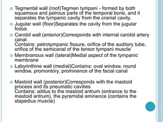  Tegmental wall (roof)Tegmen tympani - formed by both
squamous and petrous parts of the temporal bone, and it
separates the tympanic cavity from the cranial cavity.
 Jugular wall (floor)Separates the cavity from the jugular
fossa.
 Carotid wall (anterior)Corresponds with internal carotid artery
canal
Contains: petrotympanic fissure, orifice of the auditory tube,
orifice of the semicanal of the tensor tympani muscle
 Membranous wall (lateral)Medial aspect of the tympanic
membrane
 Labyrinthine wall (medial)Contains: oval window, round
window, promontory, prominence of the facial canal
 Mastoid wall (posterior)Corresponds with the mastoid
process and its pneumatic cavities
Contains: aditus to the mastoid antrum (entrance to the
mastoid antrum), the pyramidal eminence (contains the
stapedius muscle)
 