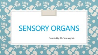 SENSORY ORGANS
SENSORY ORGANS
Presented by: Ms. Tanvi Vaghela
 