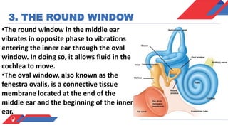 Sensory organs ; ears and nose | PPTX