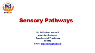 Sensory Pathways
Dr. Sai Sailesh Kumar G
Associate Professor
Department of Physiology
NRIIMS
Email: dr.goothy@gmail.com
 