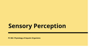 Sensory Perception of fishes physiology of aquatic organism | PPT