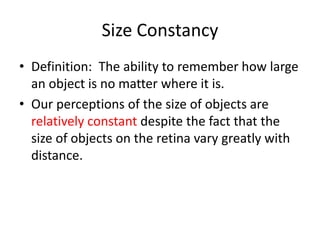 Constance Definition Sensory perception 2012_ | PPTX