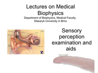 Sensory perception examination and aids  Lectures on Medical Biophysics Department of Biophysics, Medical Faculty,  Masaryk University in Brno 
