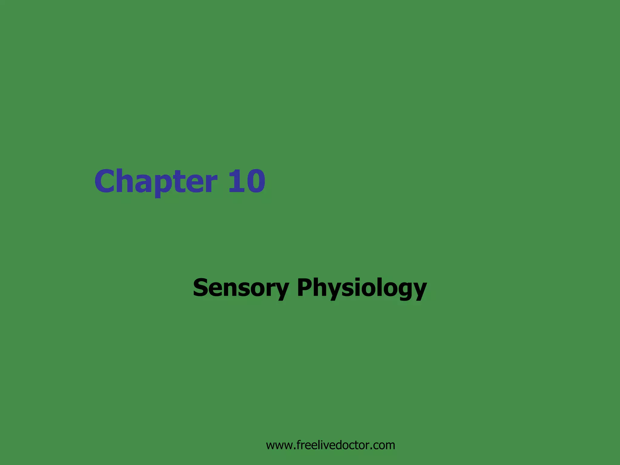 Sensory Physiology | PPT