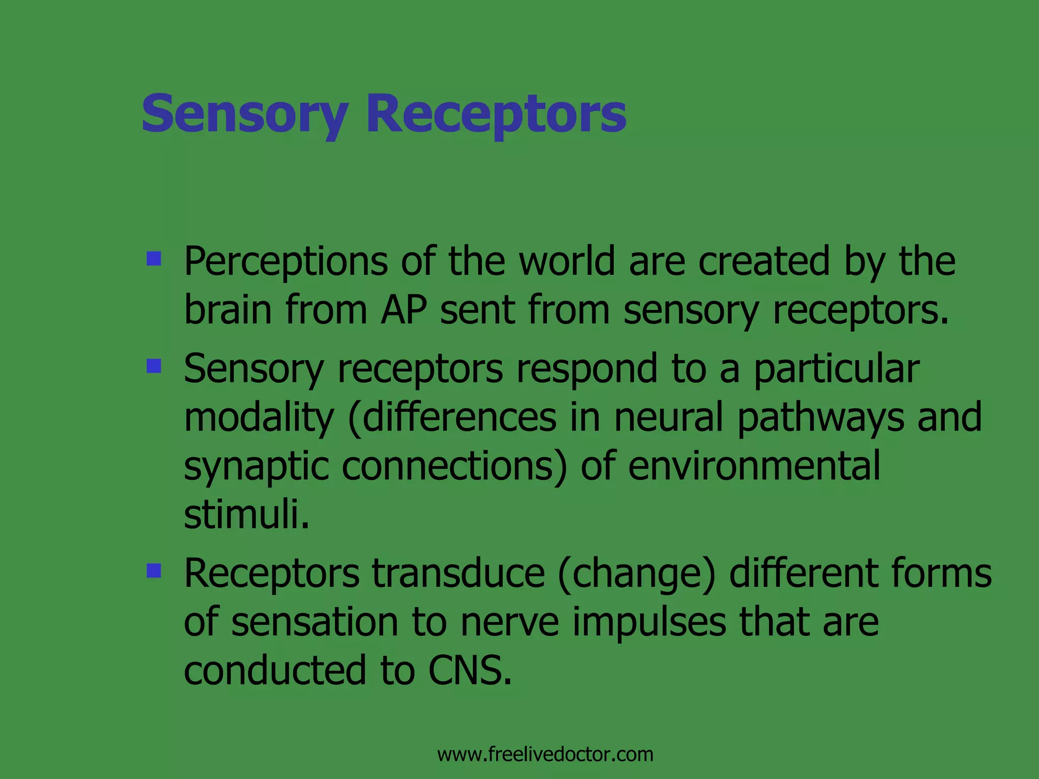 Sensory Physiology | PPT