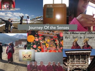 Journey Of the Senses

In China and Tibet
By: Sofia Singer

 