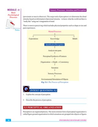 Sensory processes attention and perception | PDF
