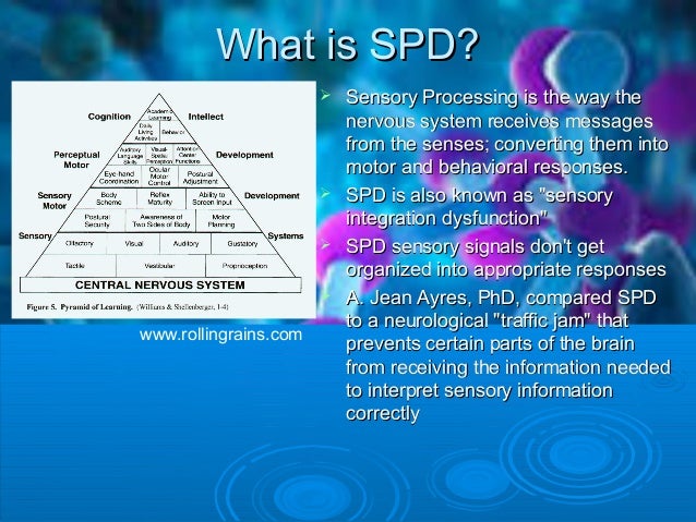 Sensory processing disorder research paper