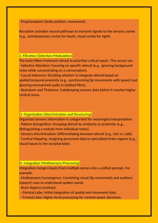 Sensory Processing Information Lecture Docx