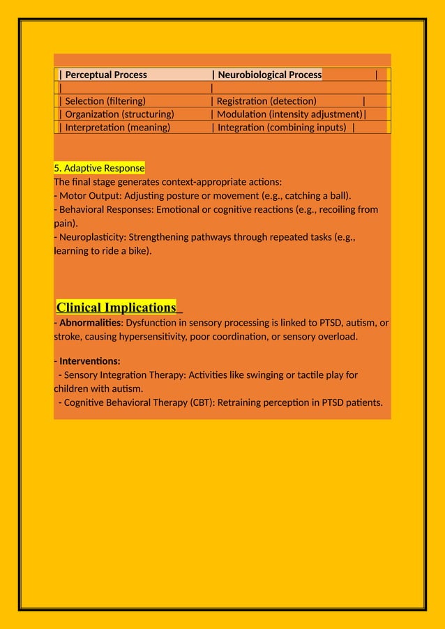 Sensory Processing Information Lecture Docx