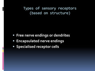 Types of sensory receptors
(based on structure)
 Free nerve endings or dendrites
 Encapsulated nerve endings
 Specialised receptor cells
 