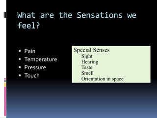What are the Sensations we
feel?
 Pain
 Temperature
 Pressure
 Touch
Special Senses
Sight
Hearing
Taste
Smell
Orientation in space
 