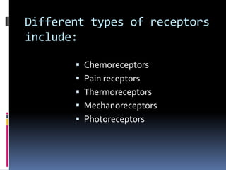 Different types of receptors
include:
 Chemoreceptors
 Pain receptors
 Thermoreceptors
 Mechanoreceptors
 Photoreceptors
 