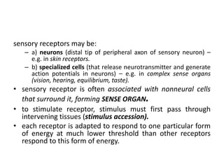 Sensory Receptors Cells