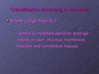 Classification according to structure

Simple ( large majority )

   - similar to modified dendritic endings
   - found on skin, mucous membrane,
   muscles and connective tissues
 