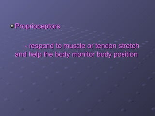 Proprioceptors

   - respond to muscle or tendon stretch
and help the body monitor body position
 