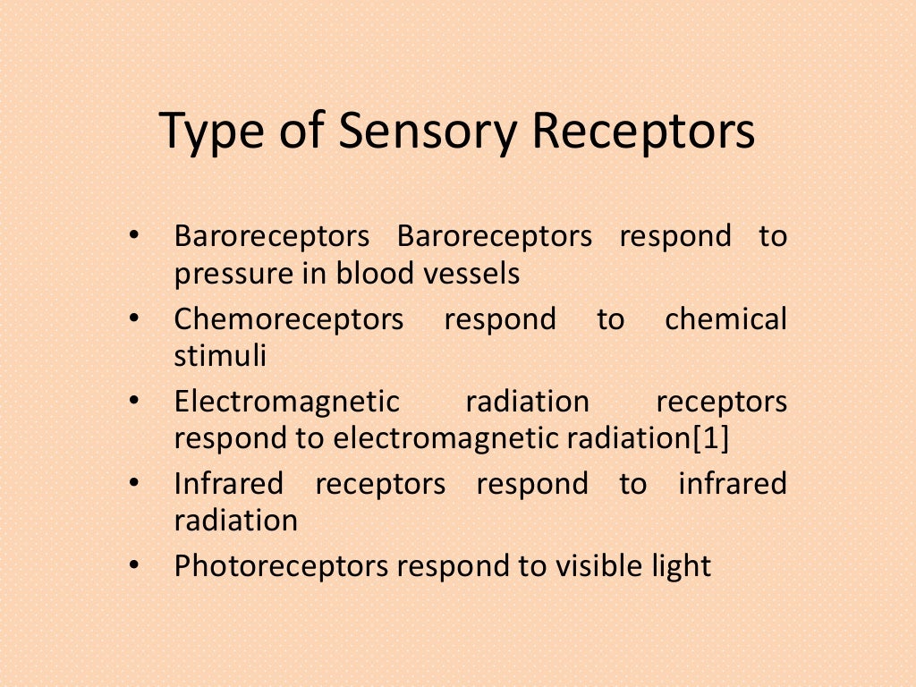 Sensory Receptors
