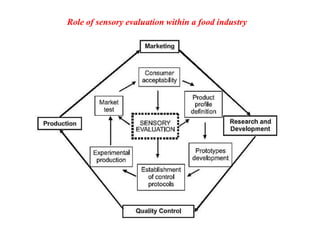 Role of sensory evaluation within a food industry
 