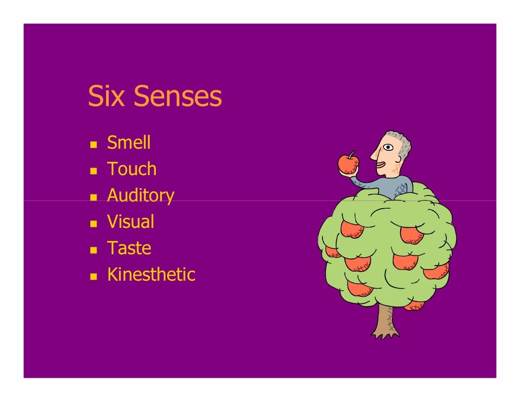 Sensory stimulation what it is and how to use it as an activity inter…