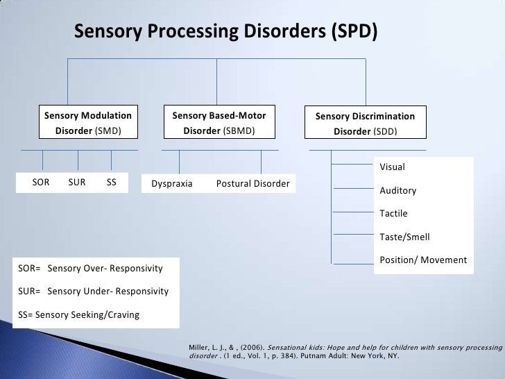 Sensory strategies and issues presentation