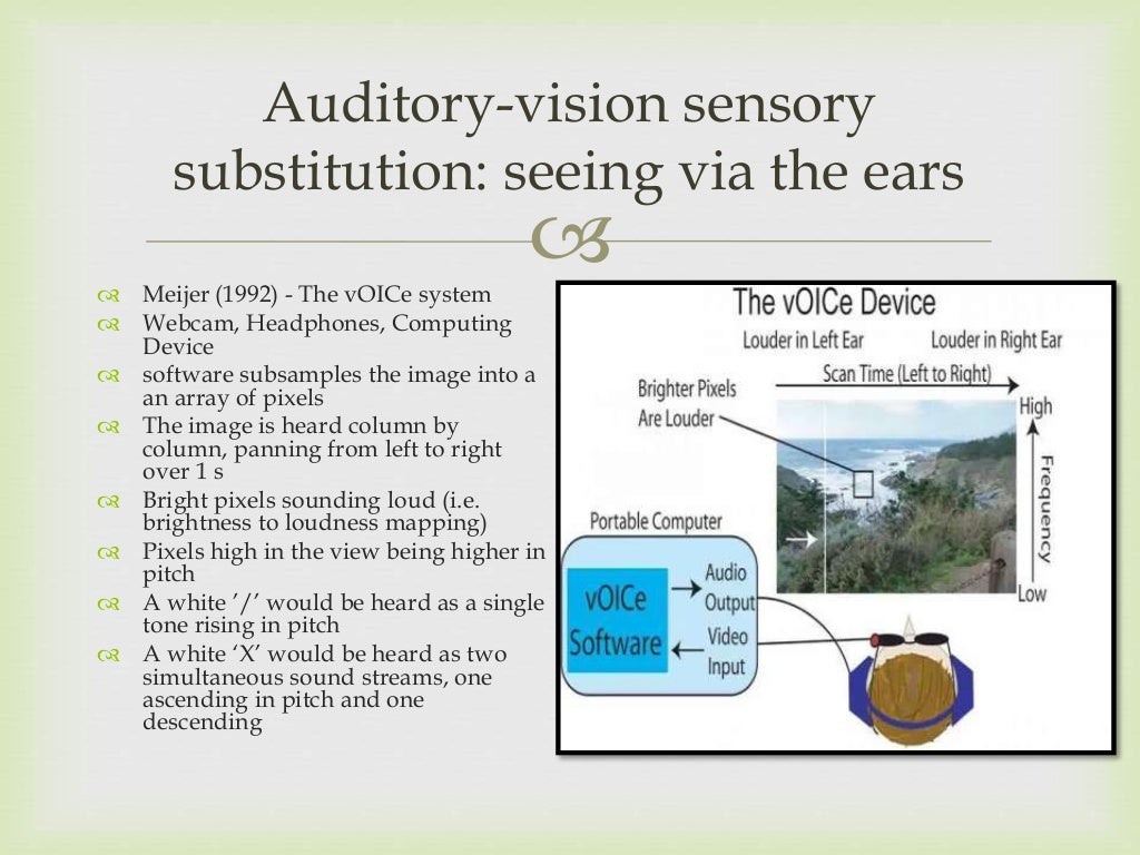 Sensory Substitution