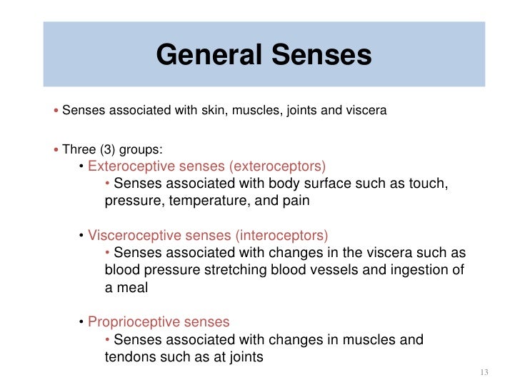 What are the three skin senses?