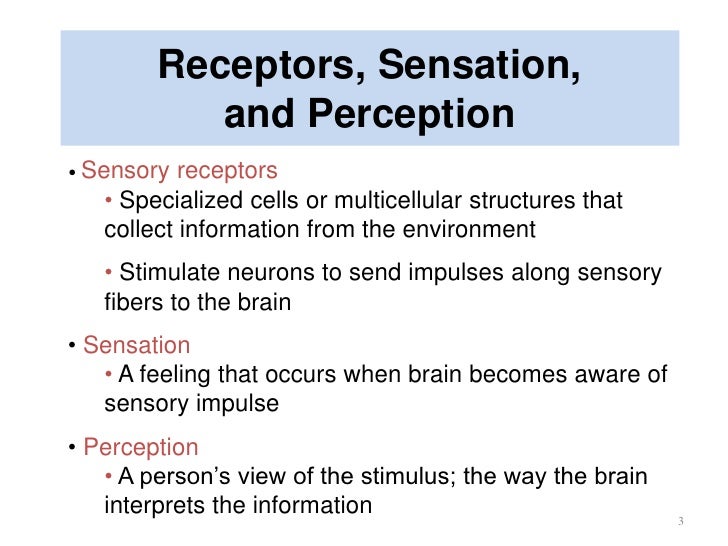 Sensory System
