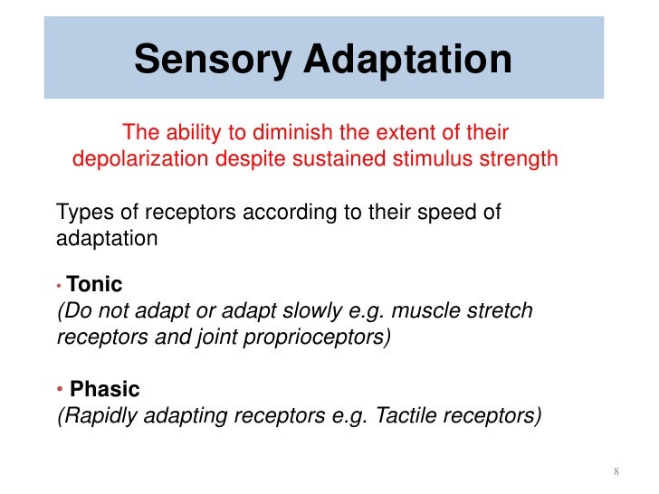 Sensory System