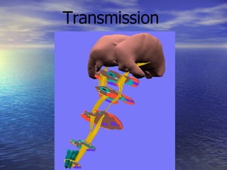 Transmission  