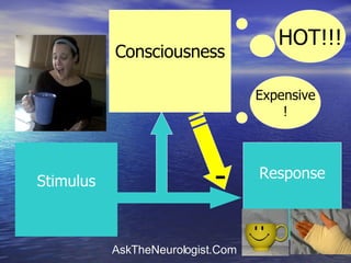 Stimulus Response Consciousness HOT !!! Expensive ! - 