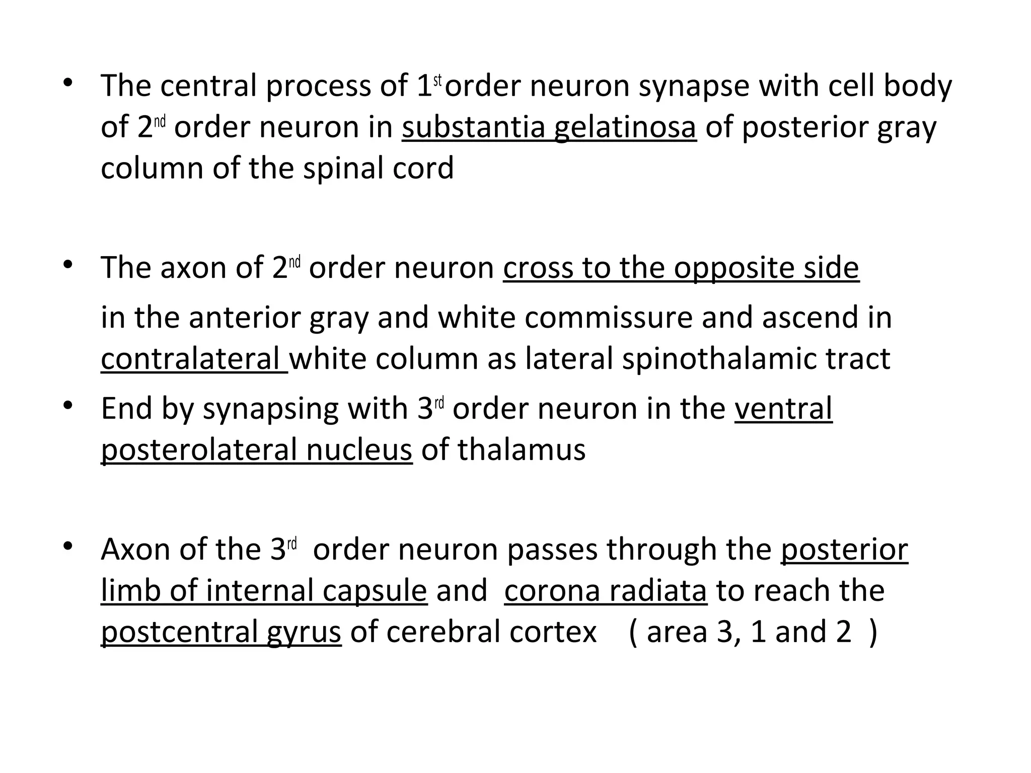 • The central process of 1st
order neuron synapse with cell body
of 2nd
order neuron in substantia gelatinosa of posterior gray
column of the spinal cord
• The axon of 2nd
order neuron cross to the opposite side
in the anterior gray and white commissure and ascend in
contralateral white column as lateral spinothalamic tract
• End by synapsing with 3rd
order neuron in the ventral
posterolateral nucleus of thalamus
• Axon of the 3rd
order neuron passes through the posterior
limb of internal capsule and corona radiata to reach the
postcentral gyrus of cerebral cortex ( area 3, 1 and 2 )
 
