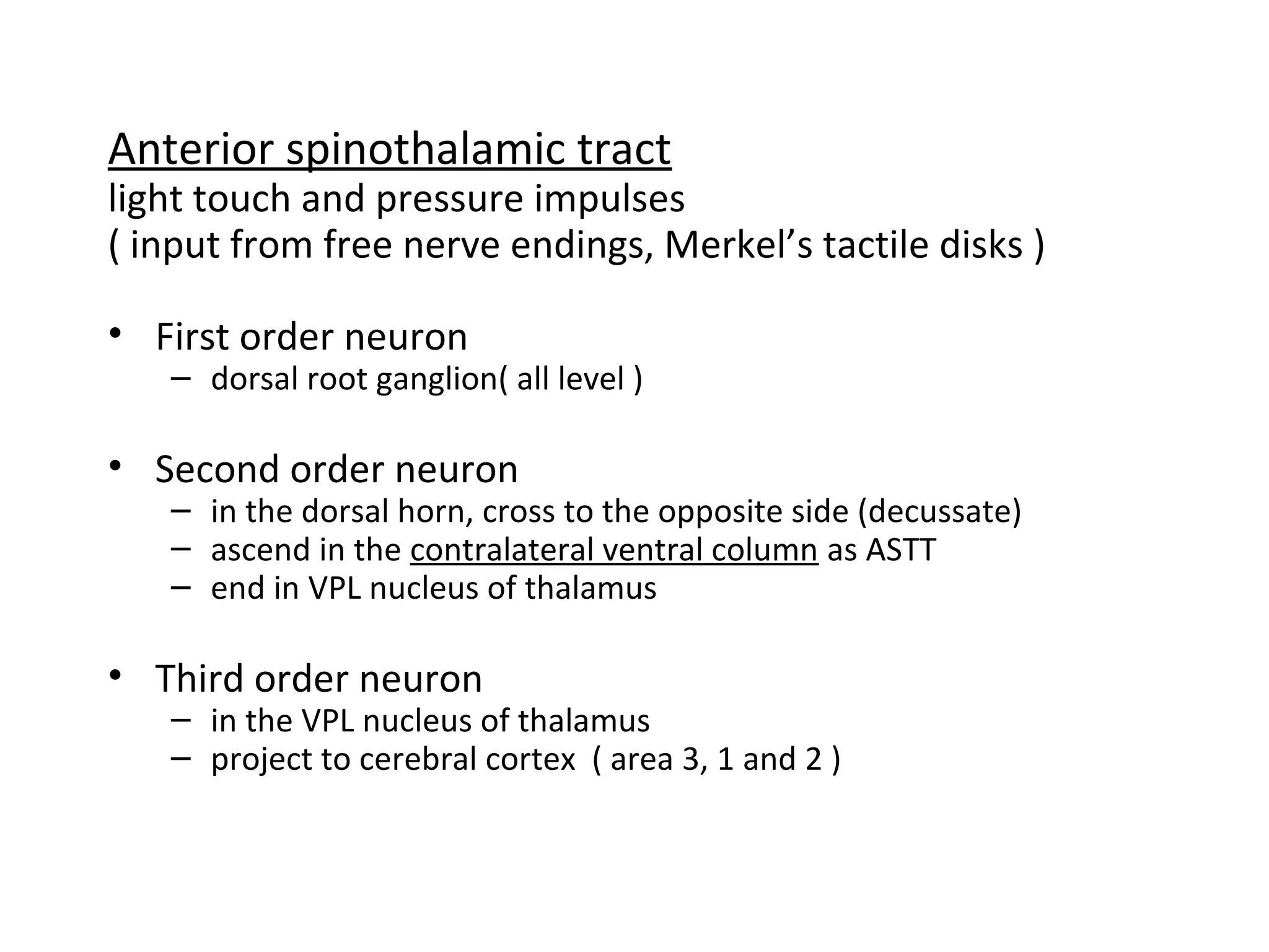 Anterior spinothalamic tract
light touch and pressure impulses
( input from free nerve endings, Merkel’s tactile disks )
• First order neuron
– dorsal root ganglion( all level )
• Second order neuron
– in the dorsal horn, cross to the opposite side (decussate)
– ascend in the contralateral ventral column as ASTT
– end in VPL nucleus of thalamus
• Third order neuron
– in the VPL nucleus of thalamus
– project to cerebral cortex ( area 3, 1 and 2 )
 
