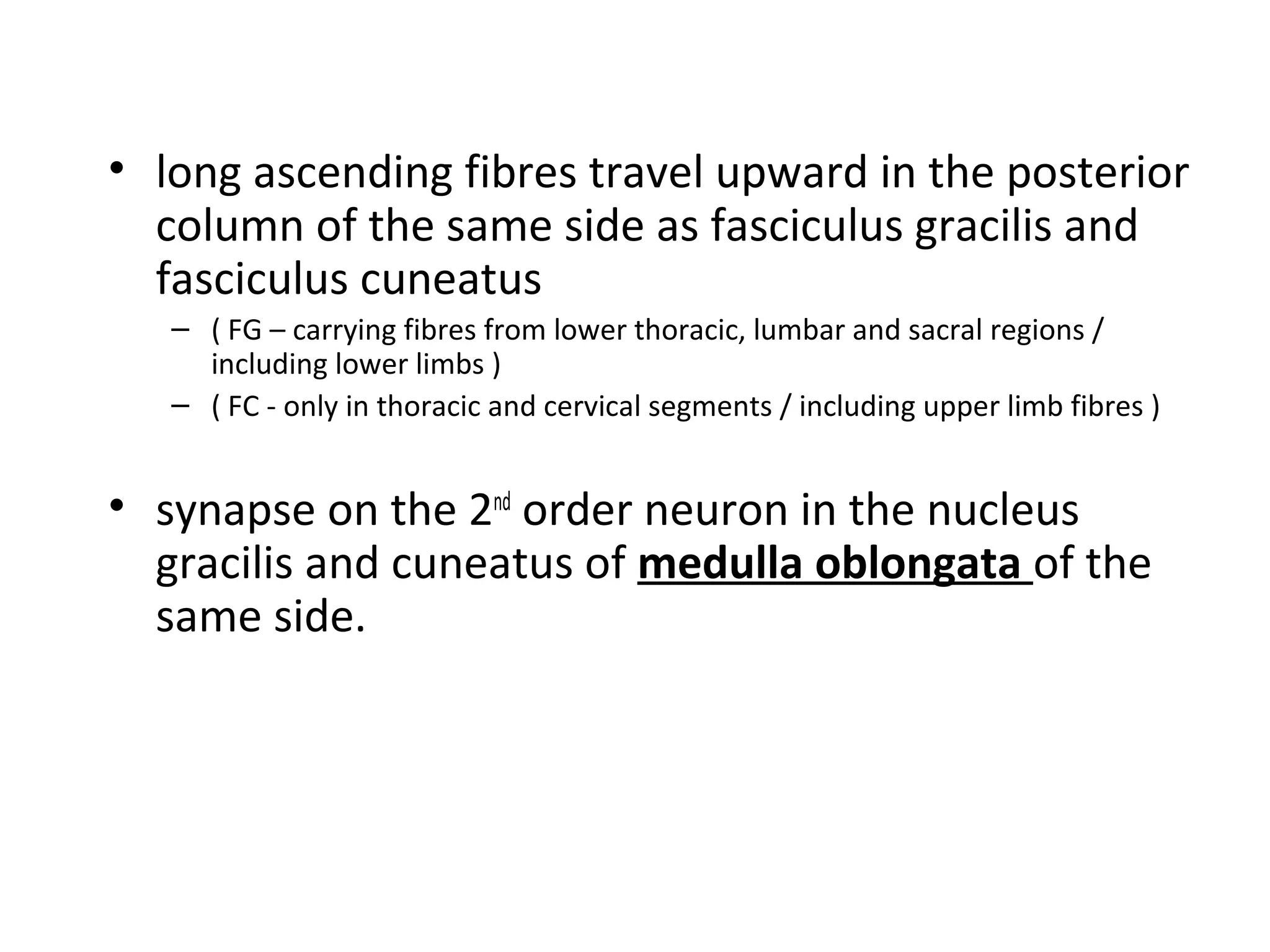 • long ascending fibres travel upward in the posterior
column of the same side as fasciculus gracilis and
fasciculus cuneatus
– ( FG – carrying fibres from lower thoracic, lumbar and sacral regions /
including lower limbs )
– ( FC - only in thoracic and cervical segments / including upper limb fibres )
• synapse on the 2nd
order neuron in the nucleus
gracilis and cuneatus of medulla oblongata of the
same side.
 