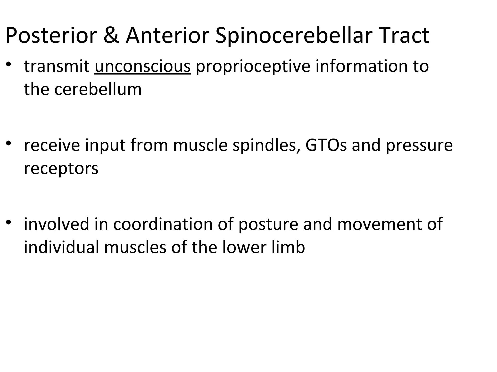 Posterior & Anterior Spinocerebellar Tract
• transmit unconscious proprioceptive information to
the cerebellum
• receive input from muscle spindles, GTOs and pressure
receptors
• involved in coordination of posture and movement of
individual muscles of the lower limb
 