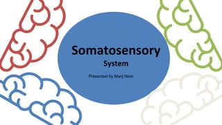 Somatosensory
System
Presented by Marij Noor
 