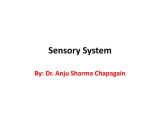 Sensory System
By: Dr. Anju Sharma Chapagain
 
