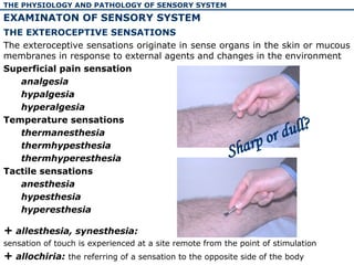 Sensory system.ppt thcthcghchgvhgfifyjfyjvjyv | PPT
