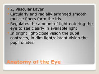 Comprehensive Overview of the Human Eye and Special Senses | PPTX