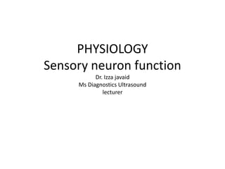 PHYSIOLOGY
Sensory neuron function
Dr. Izza javaid
Ms Diagnostics Ultrasound
lecturer
 