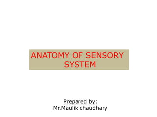 ANATOMY OF SENSORY
SYSTEM
Prepared by:
Mr.Maulik chaudhary
 