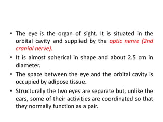 • The eye is the organ of sight. It is situated in the
orbital cavity and supplied by the optic nerve (2nd
cranial nerve).
• It is almost spherical in shape and about 2.5 cm in
diameter.
• The space between the eye and the orbital cavity is
occupied by adipose tissue.
• Structurally the two eyes are separate but, unlike the
ears, some of their activities are coordinated so that
they normally function as a pair.
 