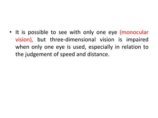 • It is possible to see with only one eye (monocular
vision), but three-dimensional vision is impaired
when only one eye is used, especially in relation to
the judgement of speed and distance.
 