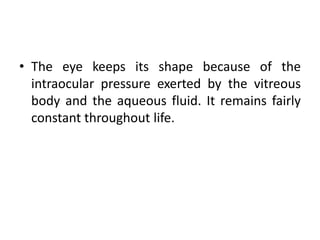 • The eye keeps its shape because of the
intraocular pressure exerted by the vitreous
body and the aqueous fluid. It remains fairly
constant throughout life.
 