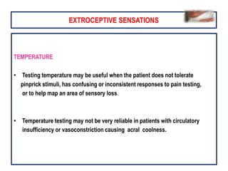 Sensory system examination PPTX