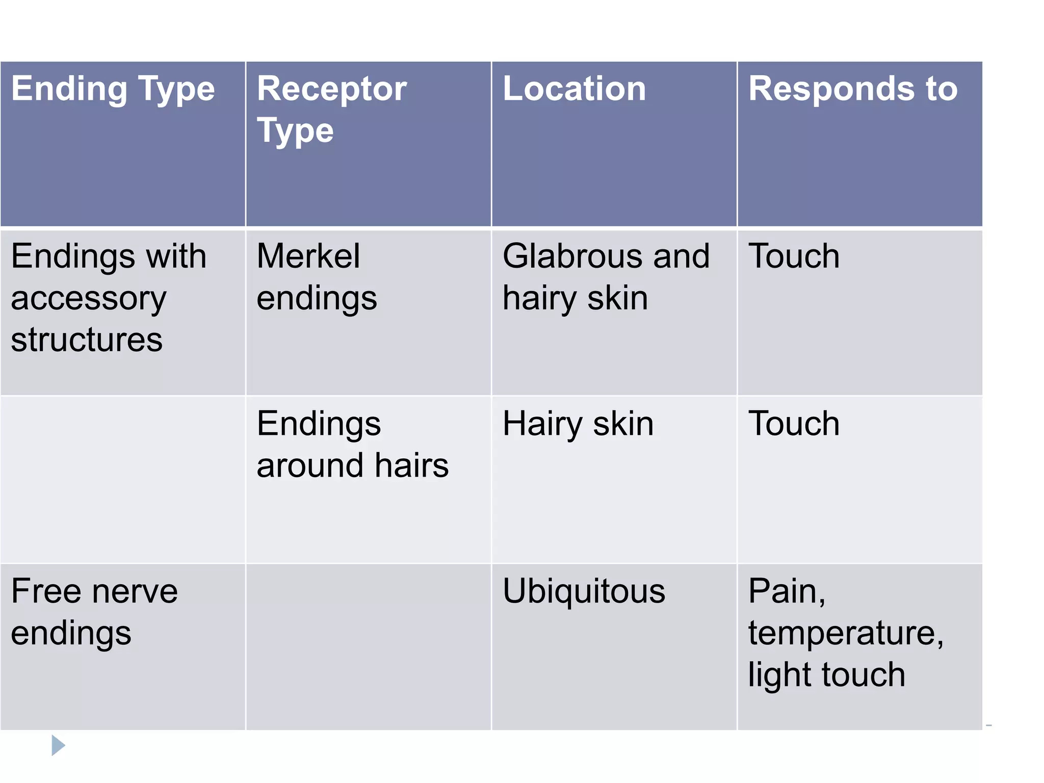 Sensory systems by DR.ARSHAD | PPTX