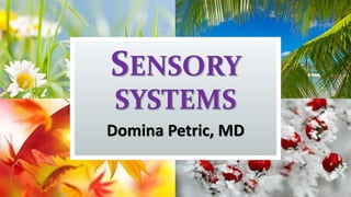 SENSORY
SYSTEMS
Domina Petric, MD
 