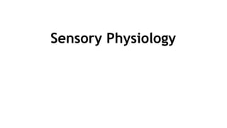 Sensory Physiology
 