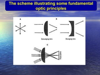 Optics Principles Sensory systems 2 | PPT