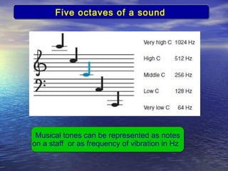 Sensory systems 3 | PPT